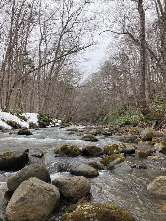 今年も焦らず、最高の旬を待ちます🌿