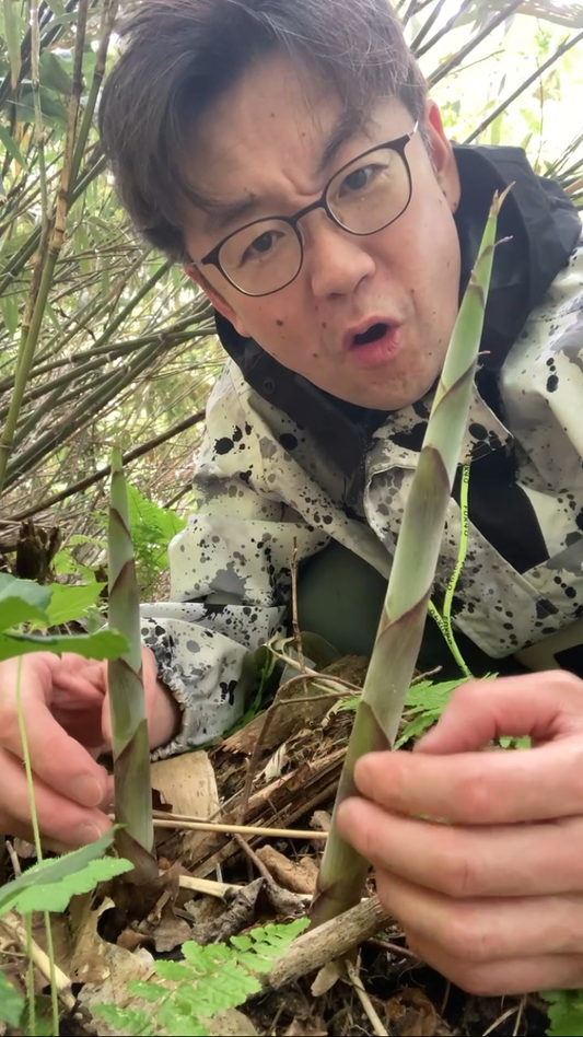 今日のソマ活🌱