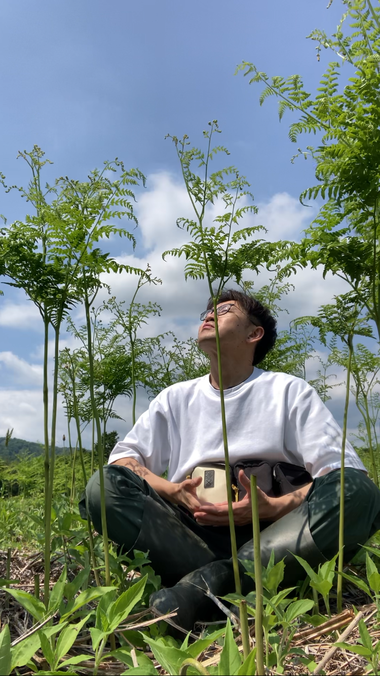 わらび畑で瞑想してみたら、生命力がニョキニョキしていた話