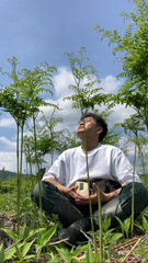 わらび畑で瞑想してみたら、生命力がニョキニョキしていた話