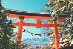 年末のご挨拶｜今年もRyu-Guuを見守ってくださり、ありがとうございました。